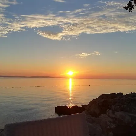 Lily Punta Skala * ペトルチャネ