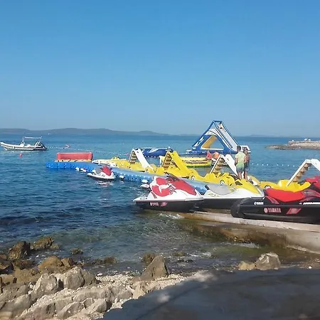 Lily Punta Skala Petrčane