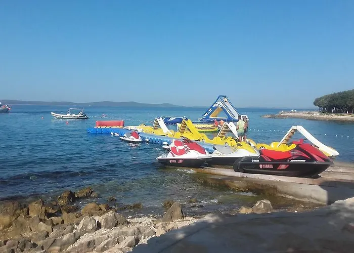 Lily Punta Skala Petrcane