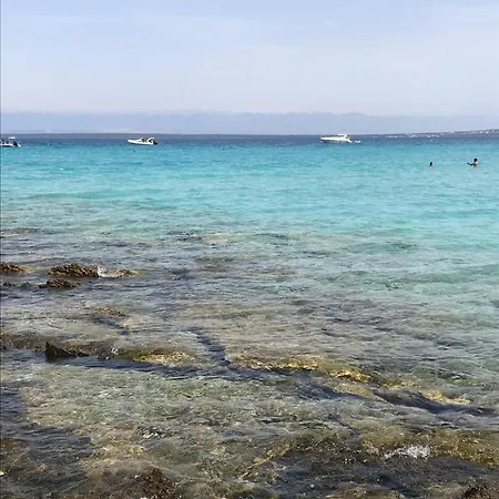 Lily Punta Skala